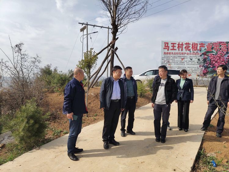 251616654133538281.jpeg 微信圖片_20210325143325.jpg