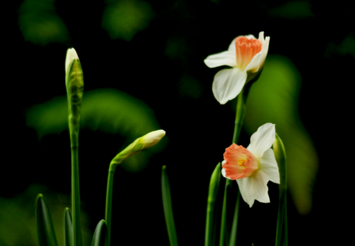 大家都做生態(tài)文明建設的實踐者、推動者（生態(tài)論苑）
