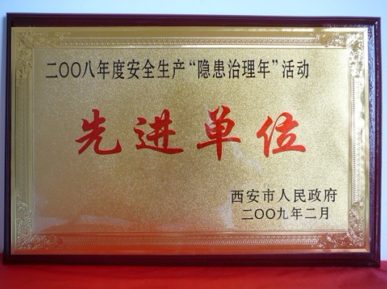 2009年2月，被西安市人民政府評(píng)為2008年度安全生產(chǎn)“隱患治理年”活動(dòng)先進(jìn)單位