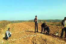 扶貧工作動態(tài)(第八十三期)