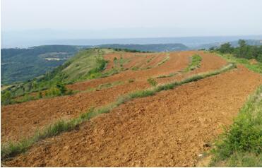 扶貧工作動態(tài)(第八十八期)