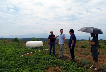 扶貧工作動態(tài)(第九十期)