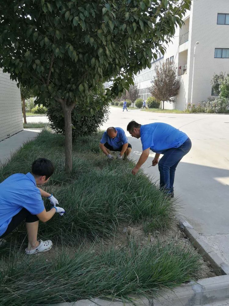 1535597879113337.jpg 1535597879113337.jpg